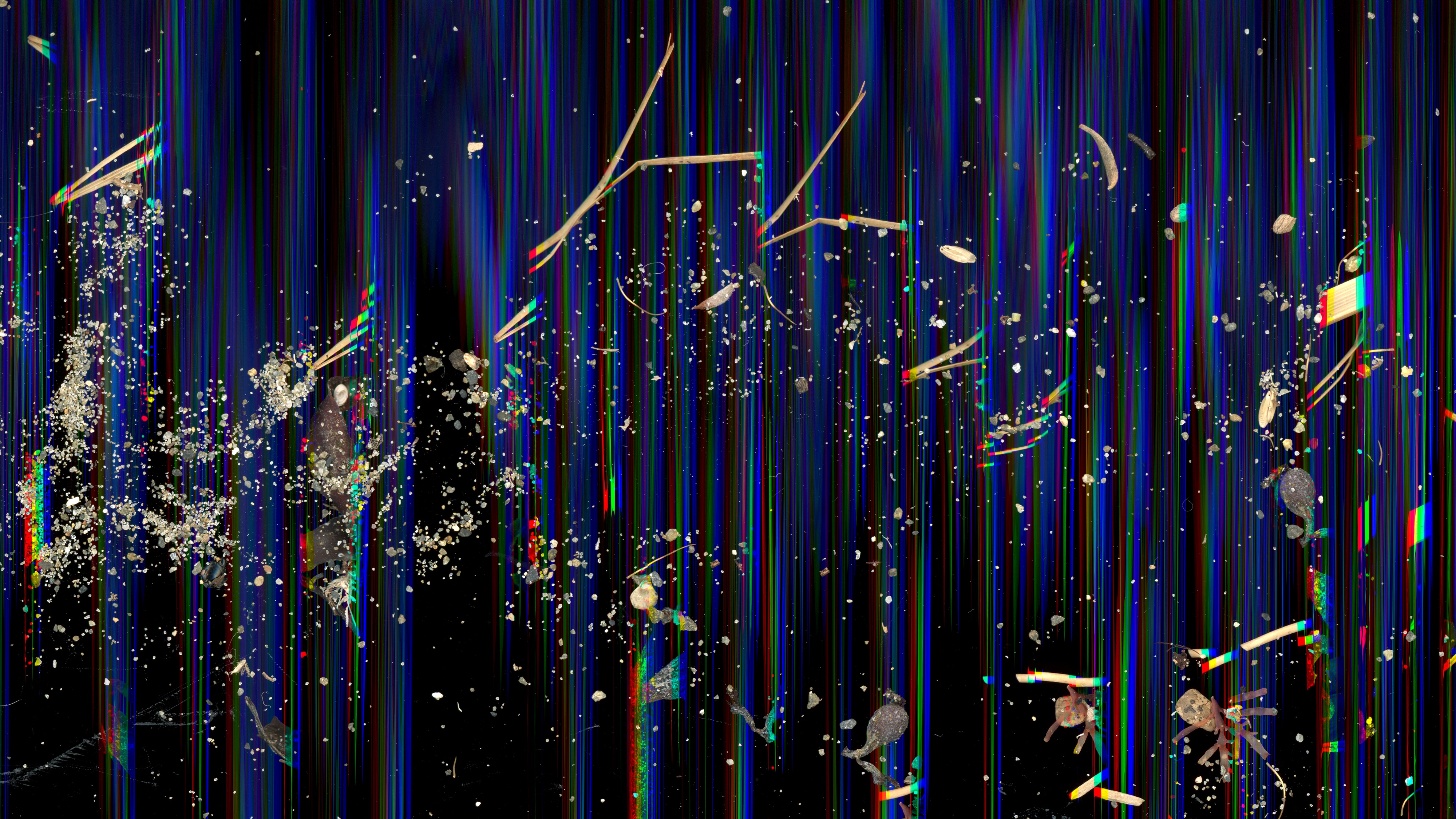 Movement_2025; Tasman Sea